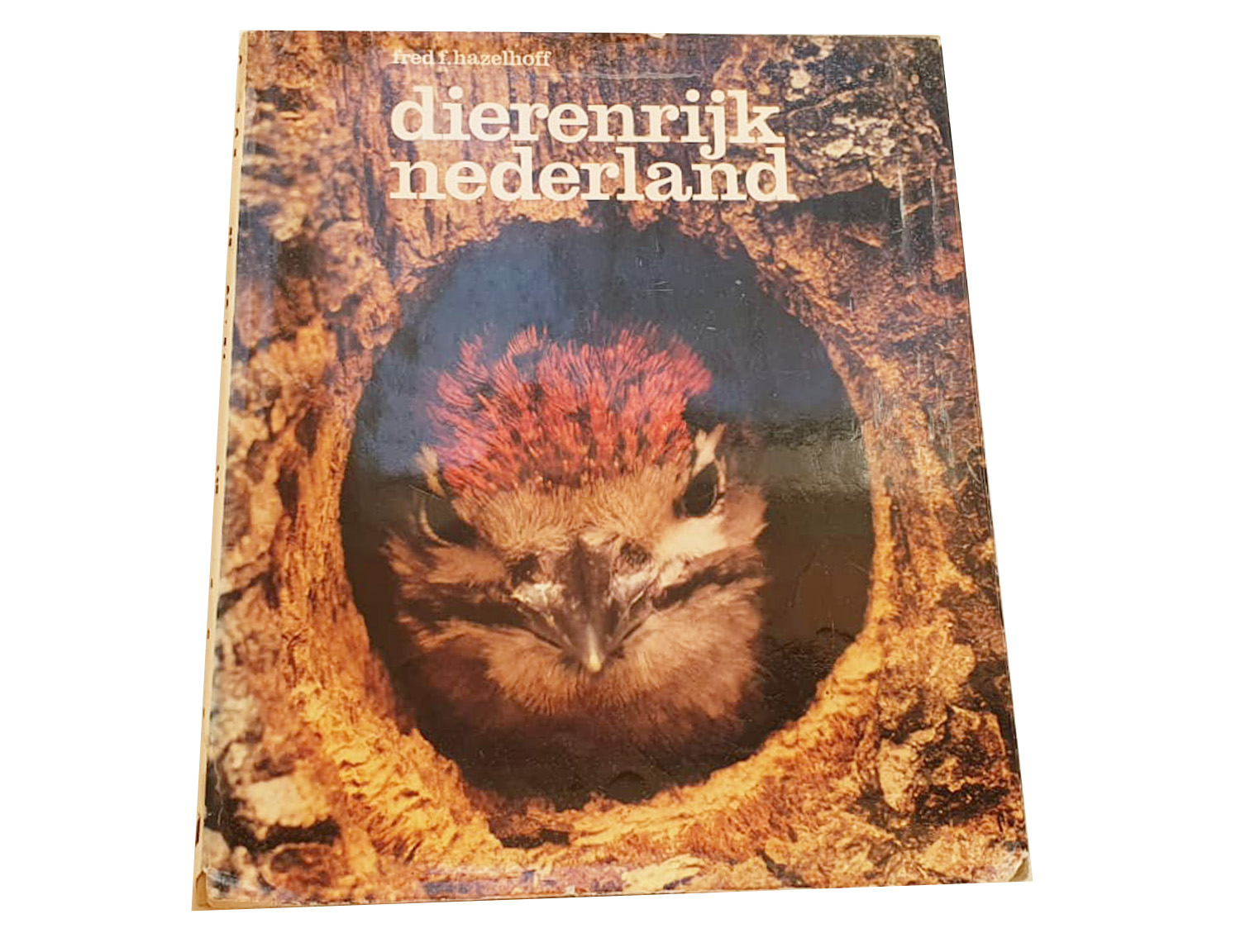 dierenrijk nederland